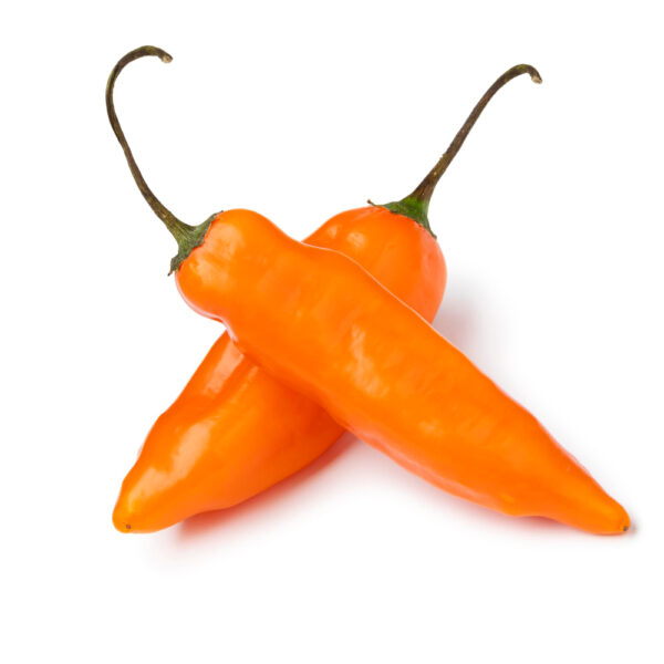 Aji
